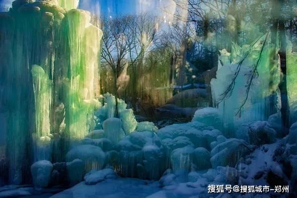 臭屁虫吃吃吃